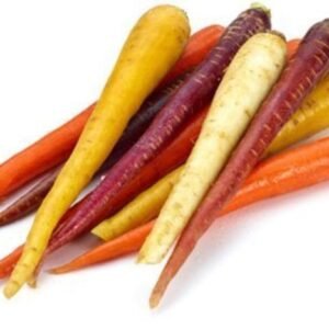 CARROTS RAINBOW Cello