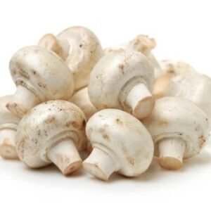 MUSHROOM WHITE CELLO