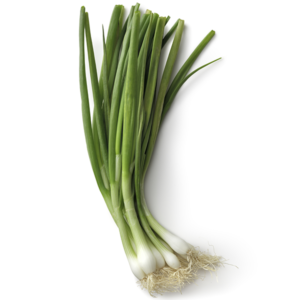ONION GREEN ONION