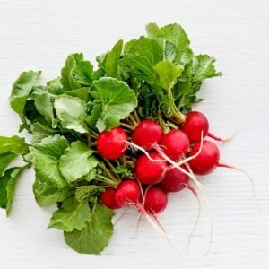 RADISH RED  BUNCHED