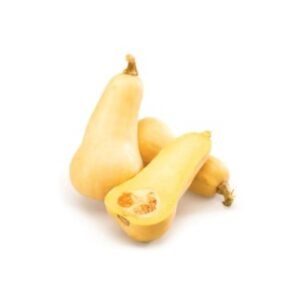 SQUASH  BUTTERNUT LG