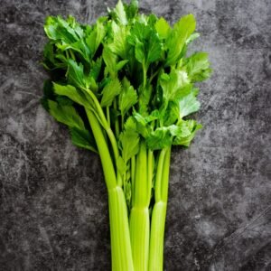 CELERY EB