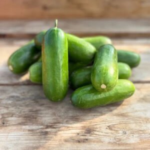 CUCUMBERS MINI