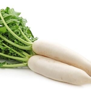 RADISH DAIKON