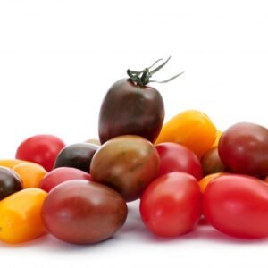 TOMATO   WILD WONDERS