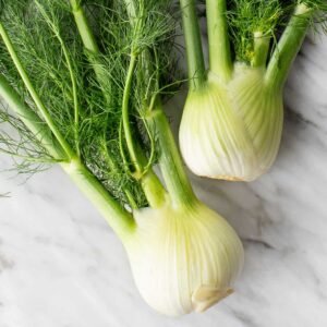 Fennel