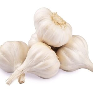 GARLIC WHITE